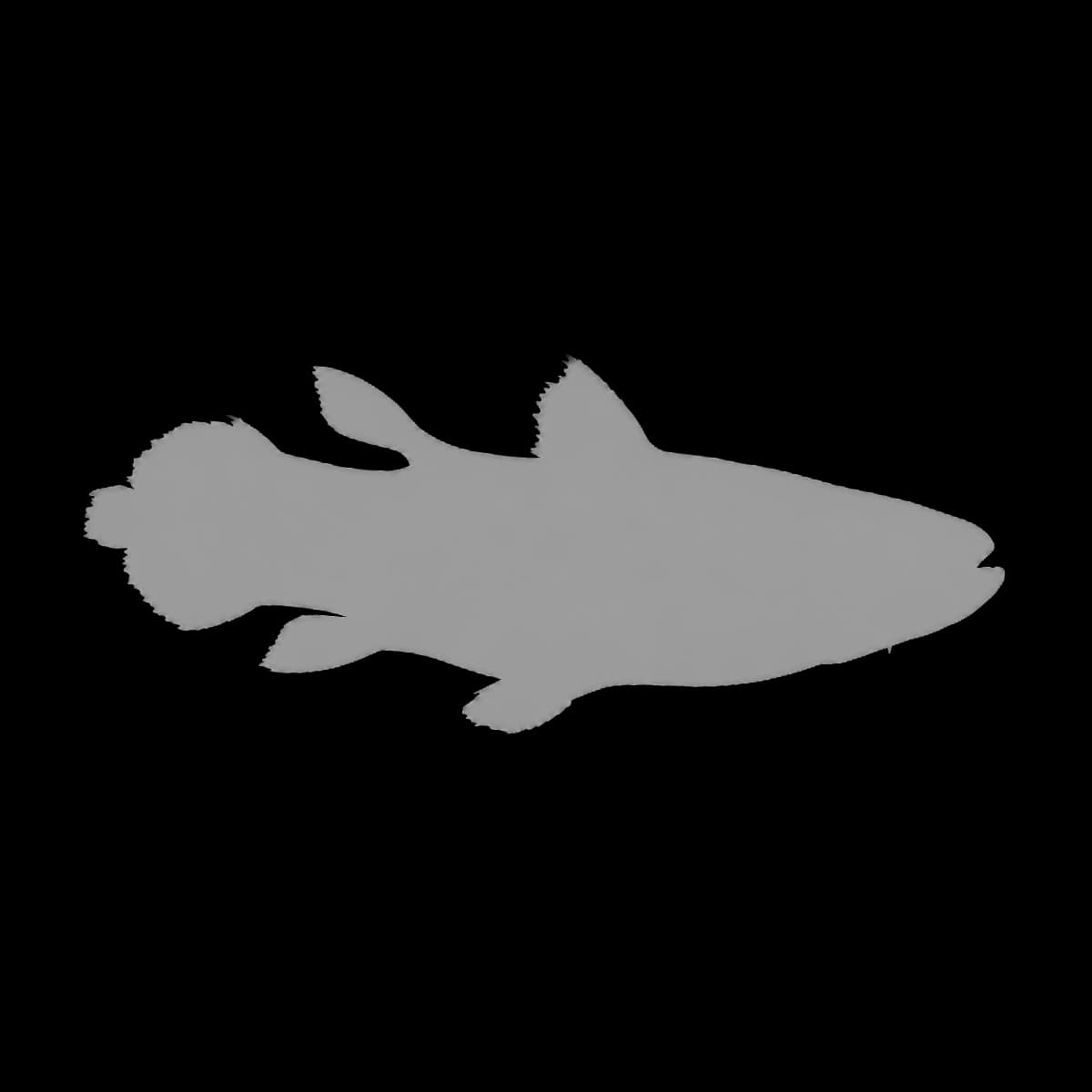 Amano Shrimp aquarium species thumbnail